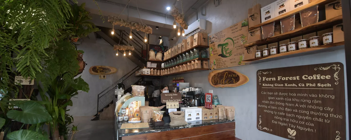 Fern Forest Coffee