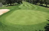 Green trong golf là gì
