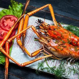 Yolo Bar Vinpearl Phu Quoc