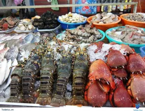 Cua Lo Seafood Market