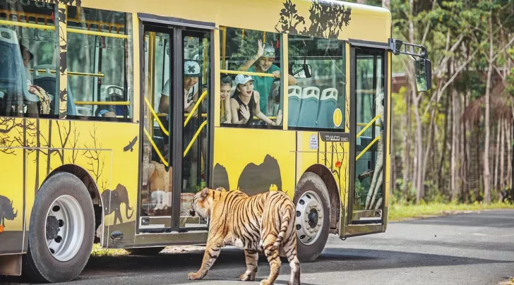Hinh anh mang gi kham pha vinpearl safari Phu Quoc