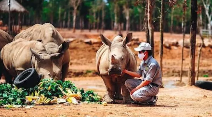 Hinh anh te giac vinpearl safari phu quoc