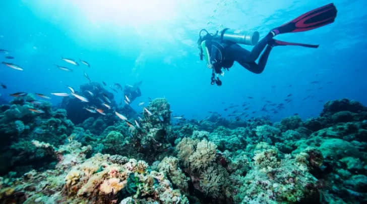 phu-quoc-co-gi-choi