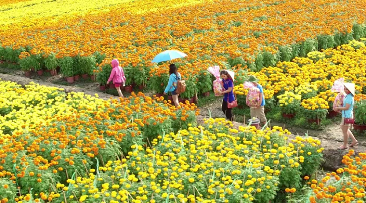 Làng hoa Bà Bộ