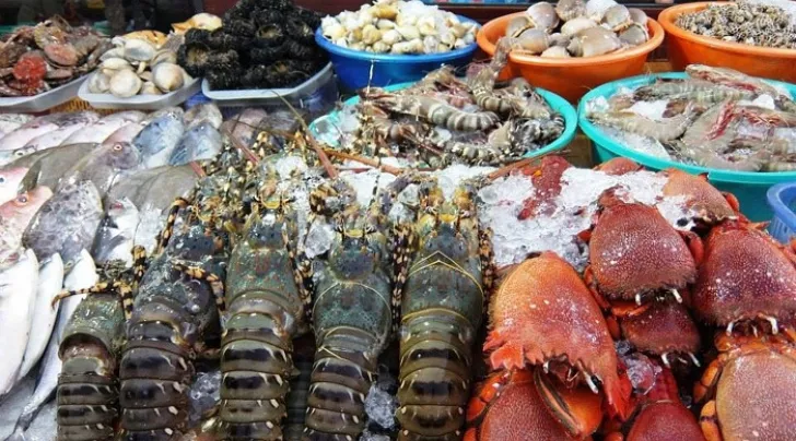 hải sản Quảng Ninh