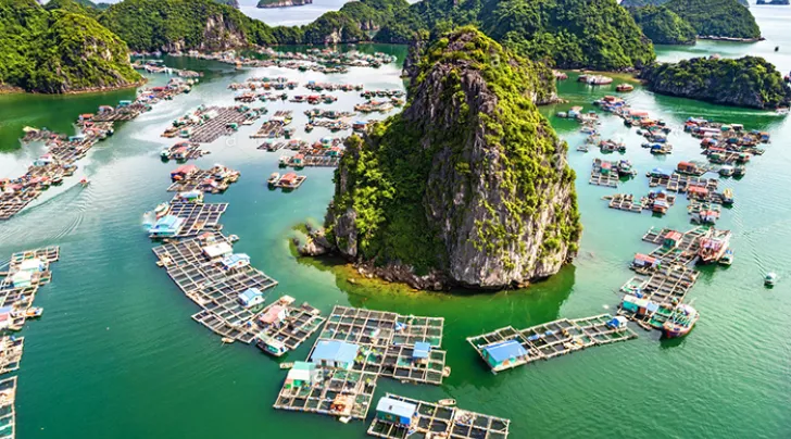 Cua Van Floating Village