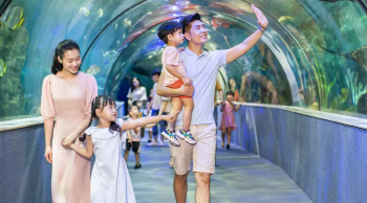 Thông báo Vinke Vinpearl Aquarium Times City