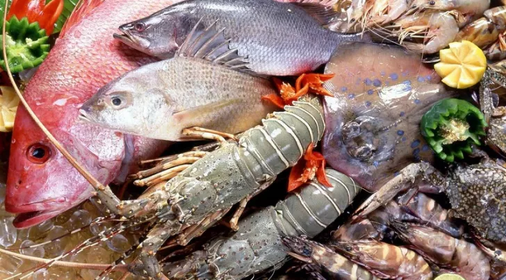 chợ hải sản Thanh Hóa
