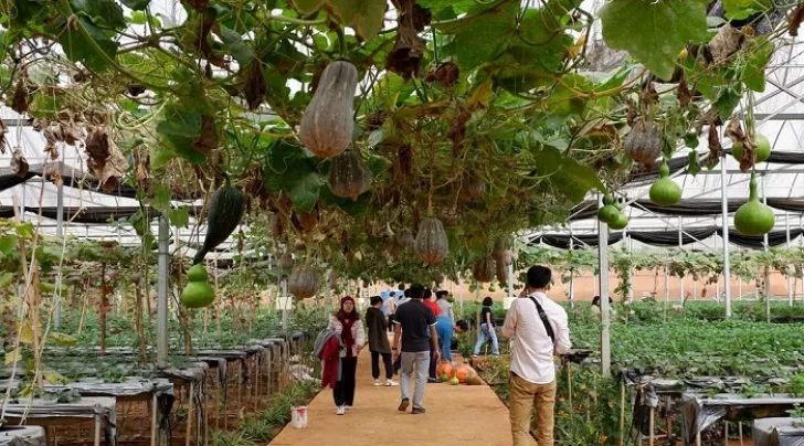 du lịch nông nghiệp