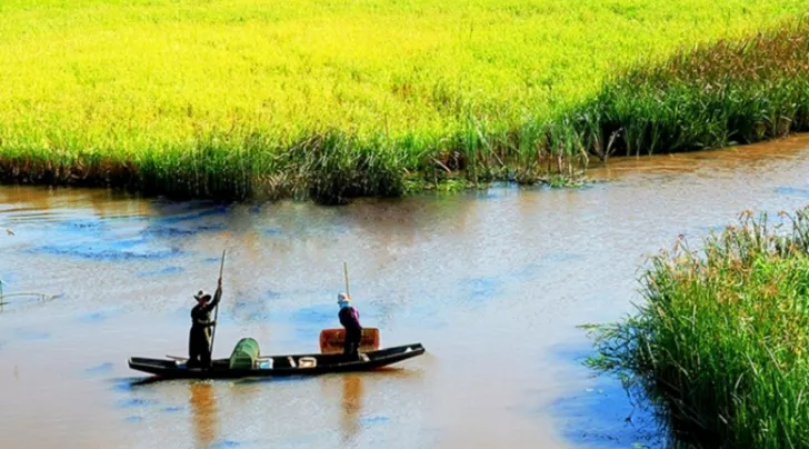 phá Hạc Hải