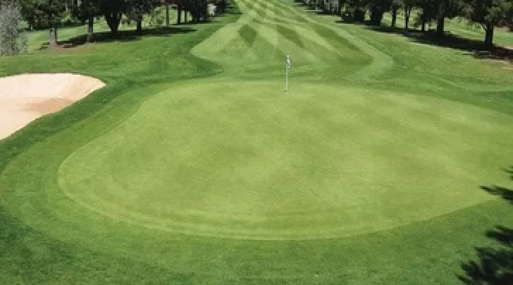 Green trong golf là gì