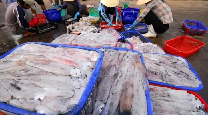Chợ Cầu Sấu Phú Quốc