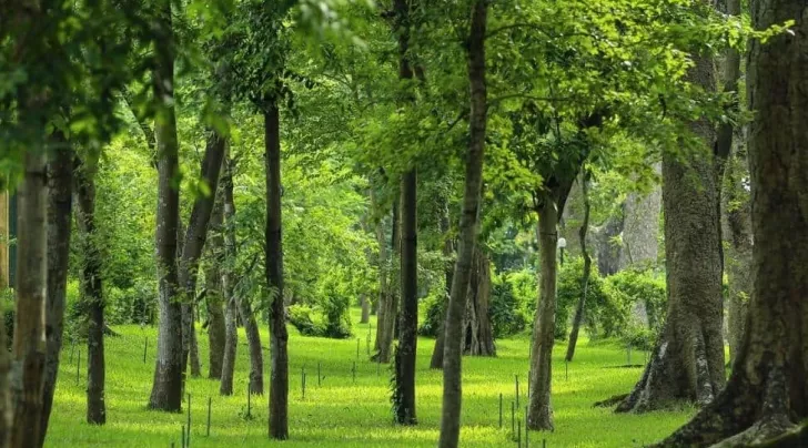Botanical gardens Hanoi