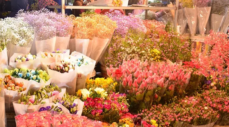 하노이 꽃시장