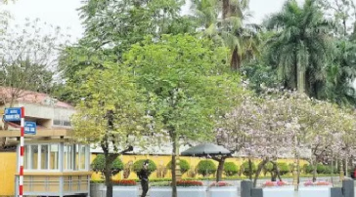 Đường Hoàng Diệu