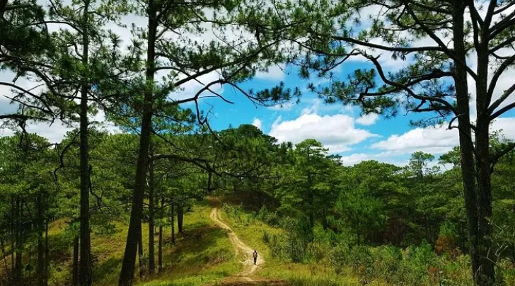 Bidoup Nui Ba National Park