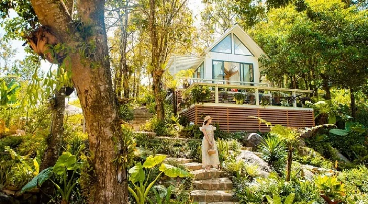 Cao Nguyên Hoa Đà Lạt
