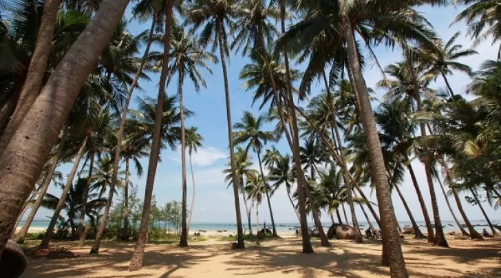 Tam Hai Island