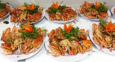 The Mekong Connect
