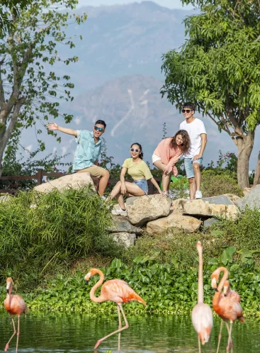 Flamingo Lake
