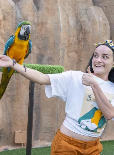 Bird World
