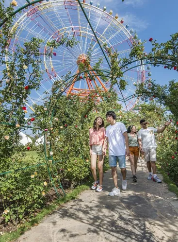 Rose Kingdom