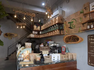 Fern Forest Coffee
