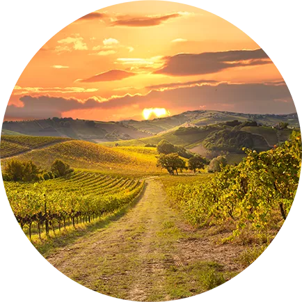 Amarone della Valpolicella Classico Il Lussurioso Buglioni