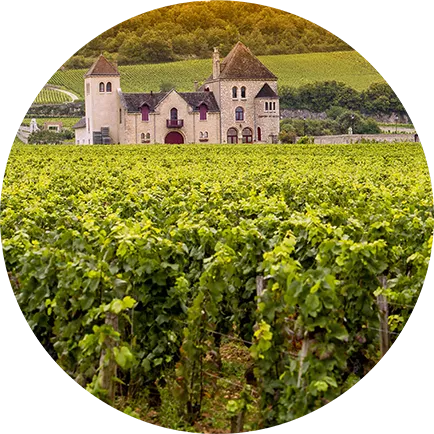 Rolly Gassmann DeRorschwihr Riesling 2017