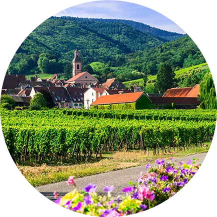 Chateau La Fleur Bellevue Cabernet Sauv