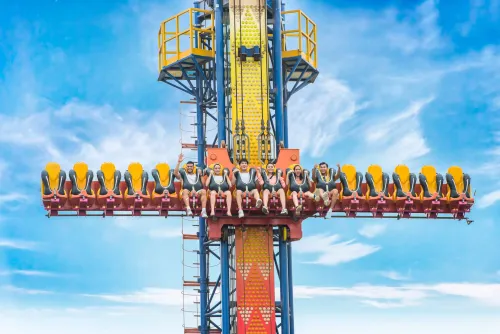 Thư viện ảnh giải trí 4
