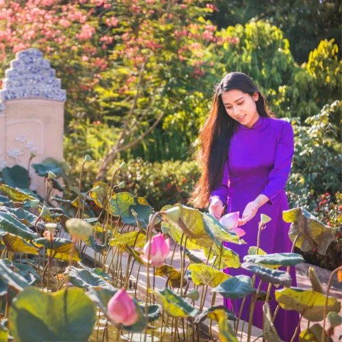 Thư viện ảnh style 5