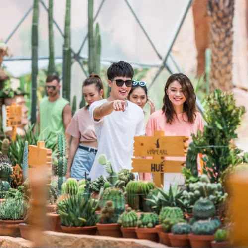 Thư viện ảnh khám phá 11
