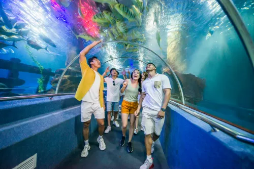 Hinh-anh-VinWonders-Nha-Trang-Sea-World-Thuy-cung-so-2