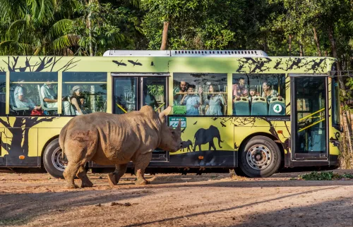 Hinh-anh-Vinpearl-Safari-Phu-Quoc-10