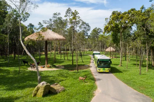 Hinh-anh-Vinpearl-Safari-Phu-Quoc-11