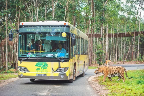 Hinh-anh-Vinpearl-Safari-Phu-Quoc-28