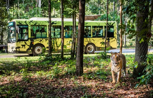Hinh-anh-Vinpearl-Safari-Phu-Quoc-2