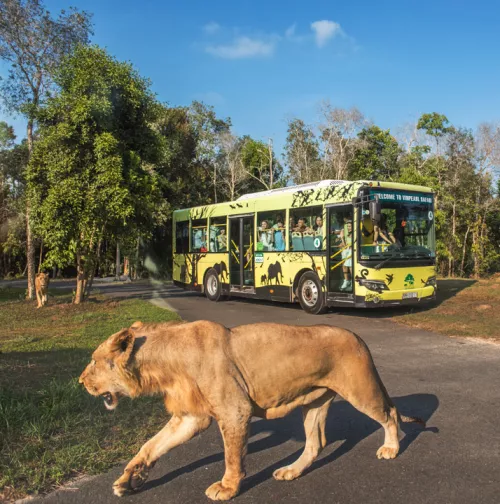 Hinh-anh-Vinpearl-Safari-Phu-Quoc-41