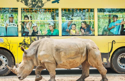 Hinh-anh-Vinpearl-Safari-Phu-Quoc-43