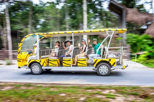 Hinh-anh-Vinpearl-Safari-Phu-Quoc-74