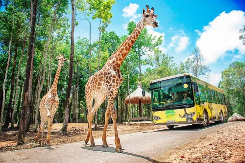 Hinh-anh-Vinpearl-Safari-Phu-Quoc-78