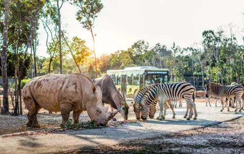 Hinh-anh-Vinpearl-Safari-Phu-Quoc-9