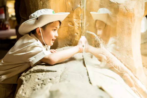 Hinh-anh-Vinpearl-Safari-Phu-Quoc-Kid_zoo_30