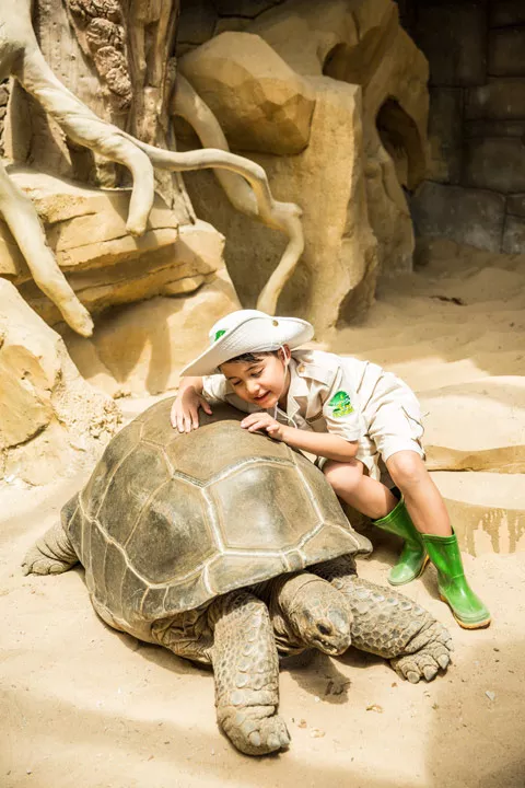 Hinh-anh-Vinpearl-Safari-Phu-Quoc-Kid_zoo_32