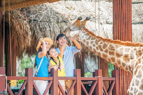 Hinh-anh-Vinpearl-Safari-Phu-Quoc-Nha_hang_Giraffe_13