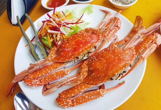 Đặc sản Cửa Lò