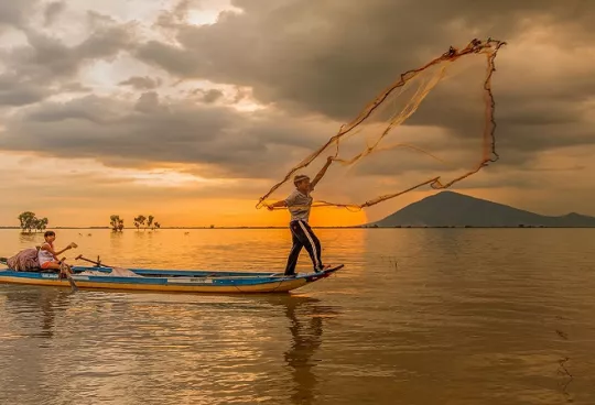 Dao nhim Tay Ninh