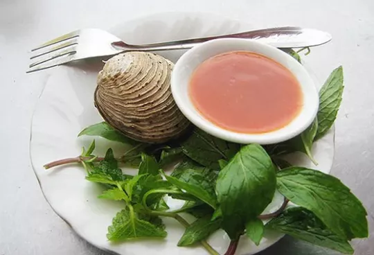 ngán biển Quảng Ninh