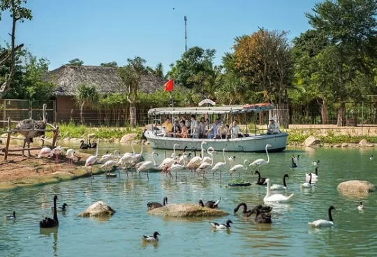 Vinpearl River Safari Nam Hoi An
